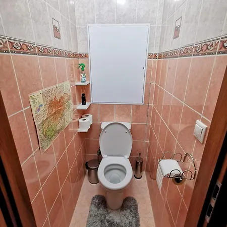 Gazde/Camere de închiriat Wolkrova *